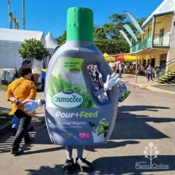 Osmocote 1L Pour + Feed Cacti And Succulent Fertiliser -GARDEN Shop apo pour feed mascot qge