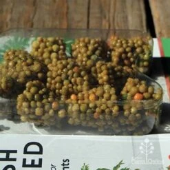 GARDEN Shop -GARDEN Shop apo push and feed close