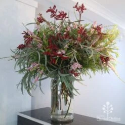 Anigozanthos Big Red - Kangaroo Paw -GARDEN Shop big red arrangement