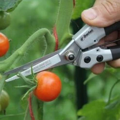 Compact Snips -GARDEN Shop compact snips