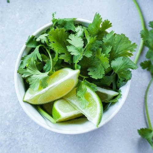 Coriander Lemon - Seed 2 Coriander Lemon - Seed - Image 2