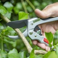 Ratchet Anvil Secateurs -GARDEN Shop darlac ratchet anvil pruner 1
