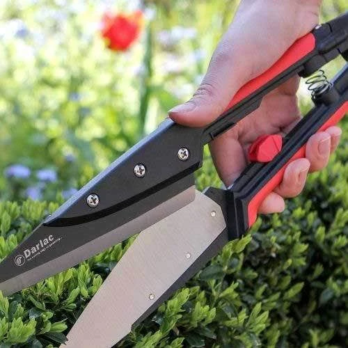 Expert Topiary Shear 4 Expert Topiary Shear - Image 4