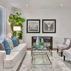 Ficus Lyrata - Fiddle Leaf Fig -GARDEN Shop fiddle leaf fancy room