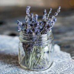 Lavender English Munstead - Seed 5 Lavender English Munstead - Seed -GARDEN Shop lavender dried