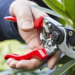 Left Hand Bypass Secateurs -GARDEN Shop left handed secateurs closer