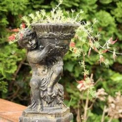 Lotus Red Flash - Parrot's Beak -GARDEN Shop lotus planted