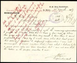 Olive Helena -GARDEN Shop postcard from st helena superintendent 500 2