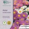 Aster Alpine Mix - Seed 7 Aster Alpine Mix - Seed -GARDEN Shop rhs alpine aster