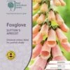 Foxglove Sutton's Apricot - Seed 6 Foxglove Sutton's Apricot - Seed -GARDEN Shop rhs foxglove apricot